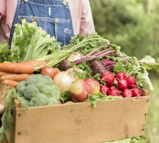 Online Organic Food Suppliers