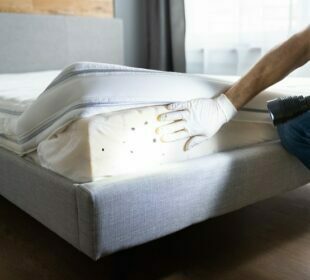 Do Infestation Of Bed Bugs Possess A Threat To Human Life? Infestation Of Bed Bugs