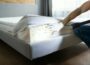 Infestation Of Bed Bugs