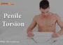 Penile-Torsion