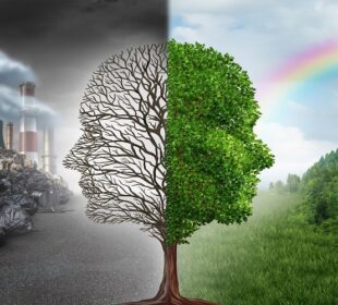 What Are the Health Consequences of Living in a Polluted Environment? Polluted Environment
