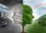 What Are the Health Consequences of Living in a Polluted Environment? Polluted Environment