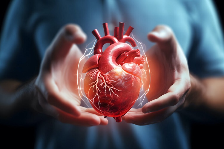 Managing Heart Health: The Role of a Cardiologist in Your Wellness Plan Heart Health
